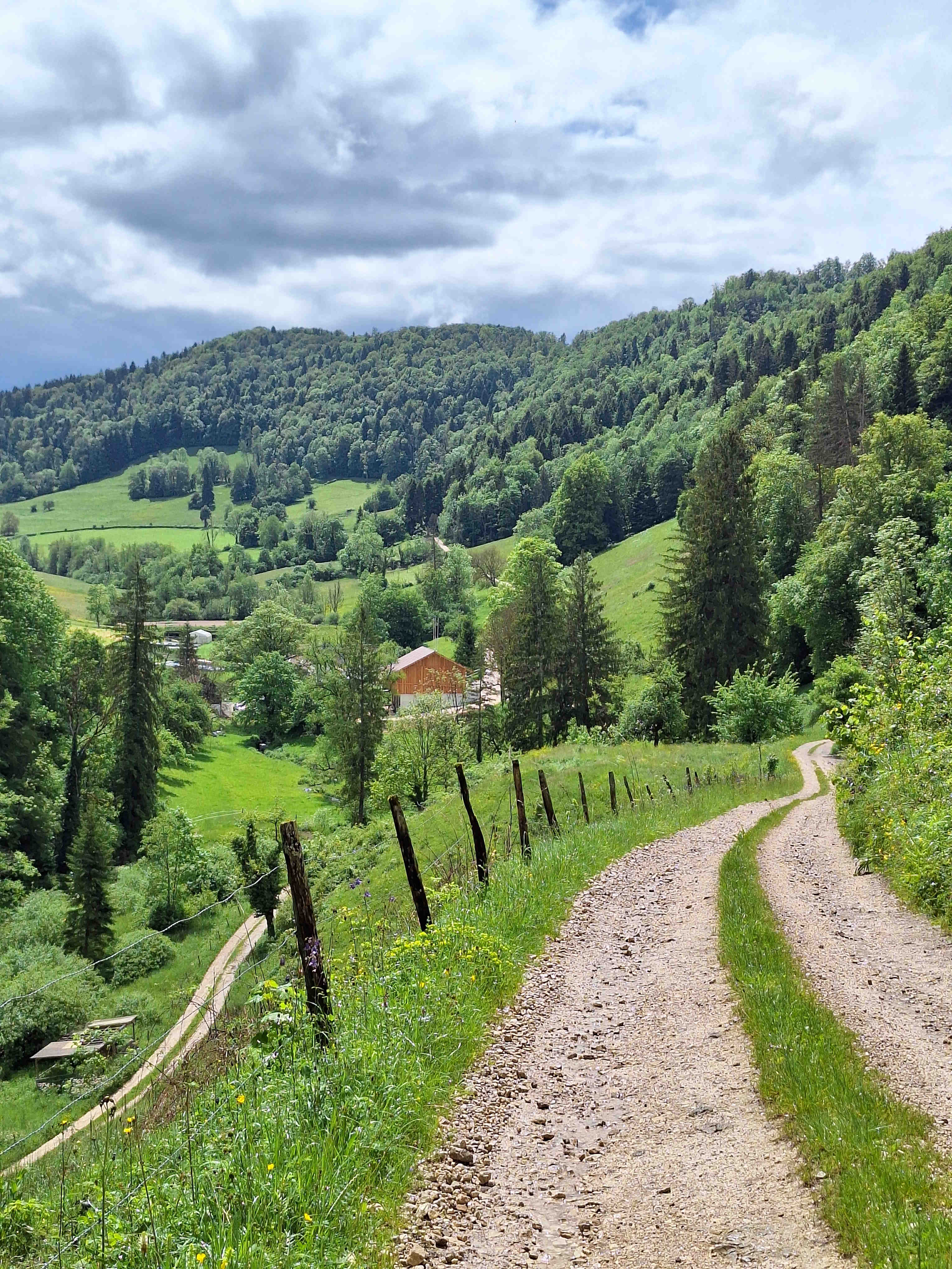 Titelbild 1 chemin
